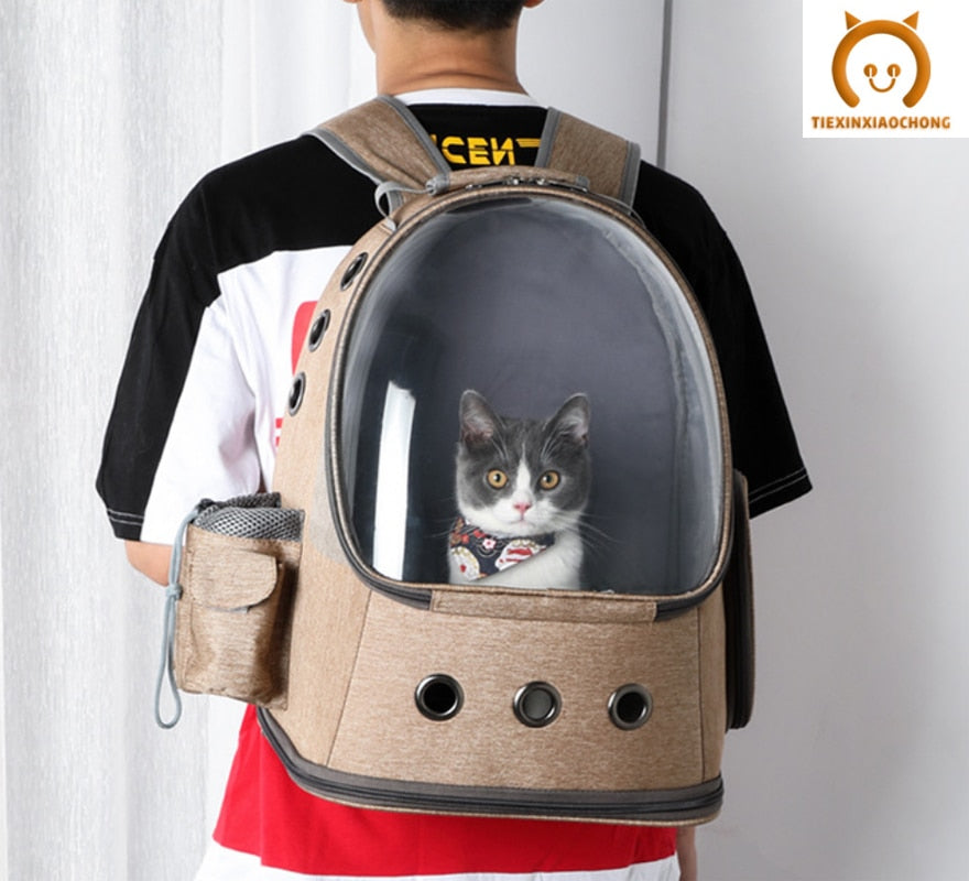 Furry's Space Capsule