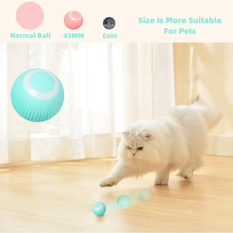 Smart furry's Ball Toys