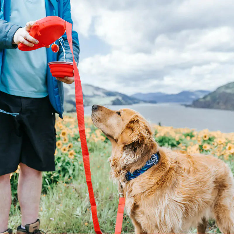 Multifunctional Furry's Leash