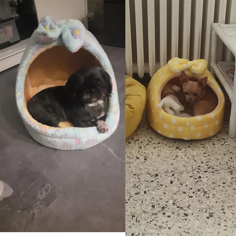 Furry's Cozy Bed House