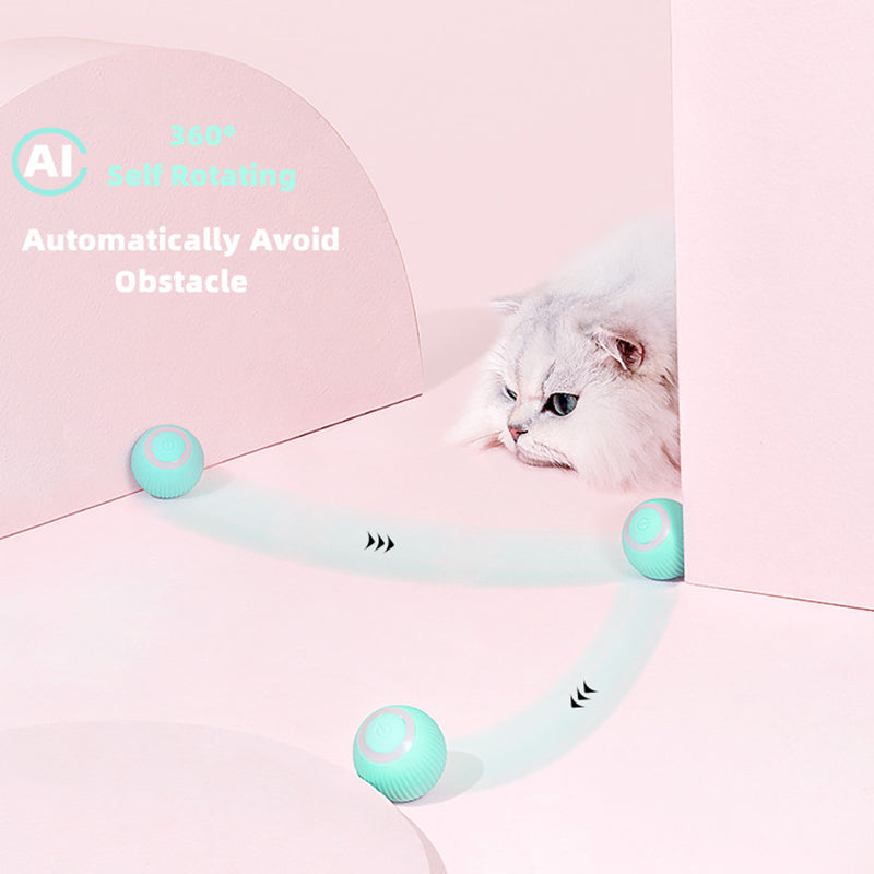 Smart furry's Ball Toys