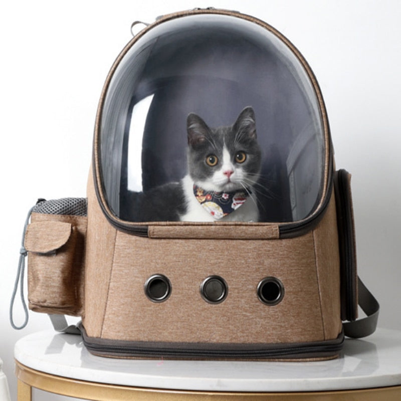 Furry's Space Capsule