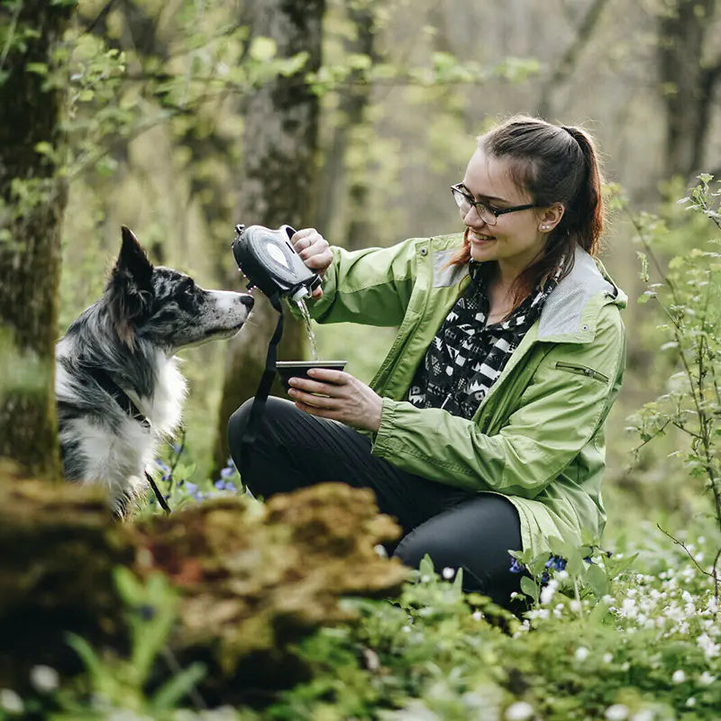 Multifunctional Furry's Leash