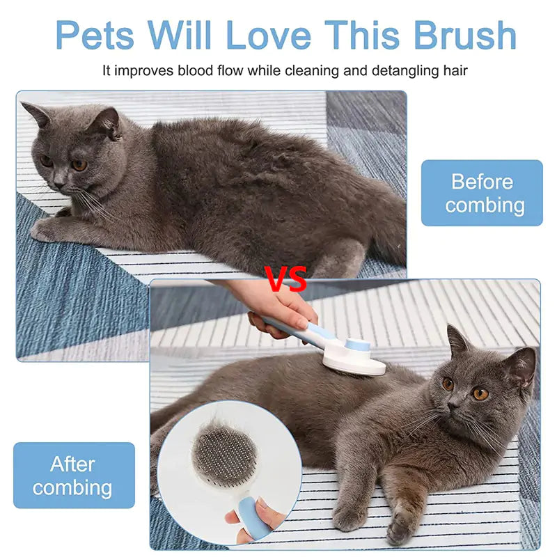 Furry's Brush