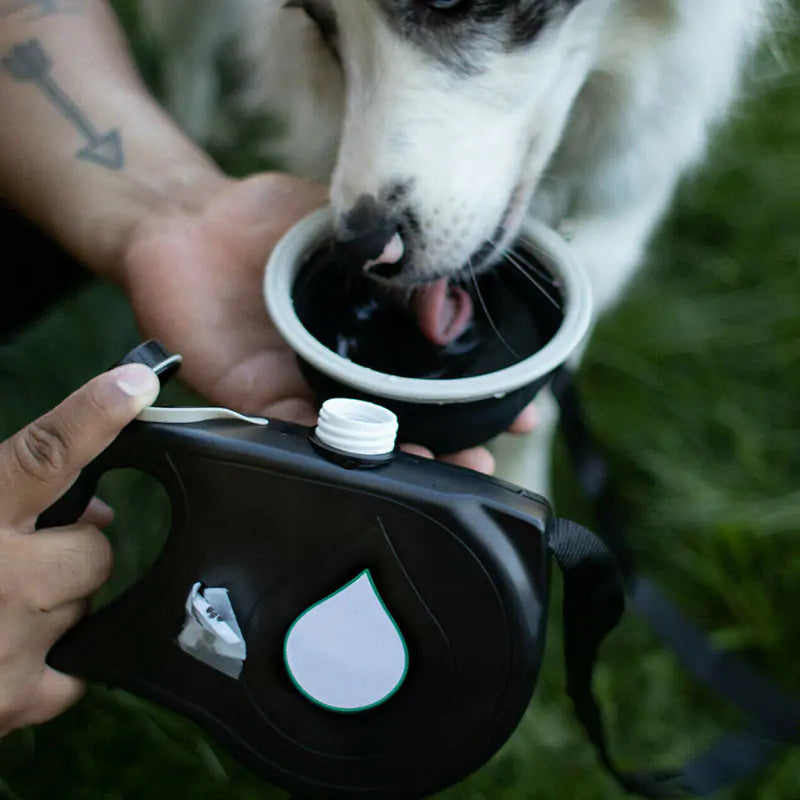 Multifunctional Furry's Leash